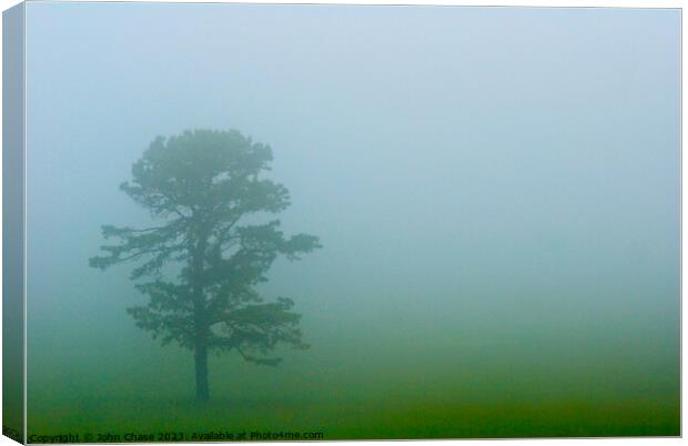 Tree in Fog, Shenandoah National Park Canvas Print by John Chase