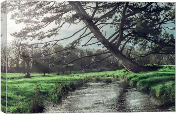 Leaning Tree Walsingham Abbey Norfolk Canvas Print by Nichol Pope