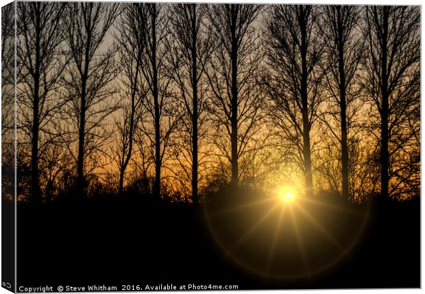 Sunset through trees Canvas Print by Steve Whitham