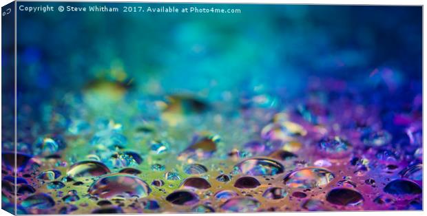 Drops of water lit from below  Canvas Print by Steve Whitham
