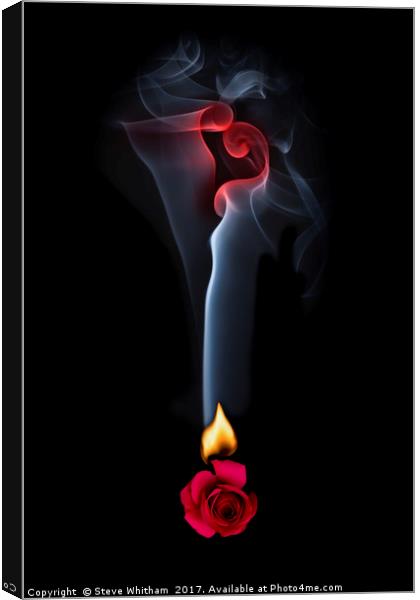 Hot Love Canvas Print by Steve Whitham