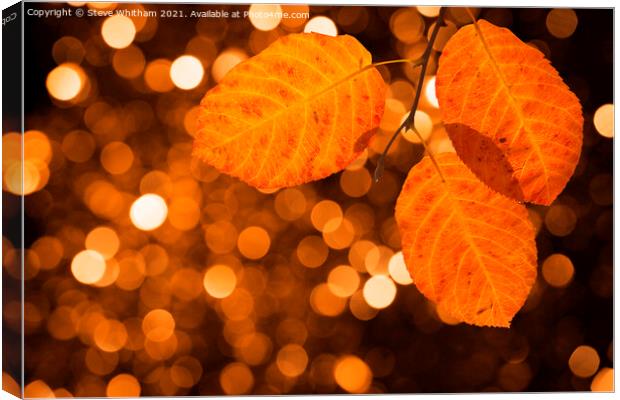 Against the Glow. Canvas Print by Steve Whitham