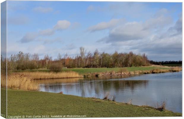 Anglers Country Park Wakefield Canvas Print by Tom Curtis