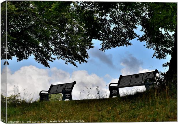 Benches on top of a hill Canvas Print by Tom Curtis