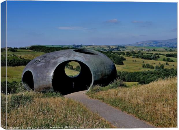 Atom at Wycoller Country Park Canvas Print by Tom Curtis