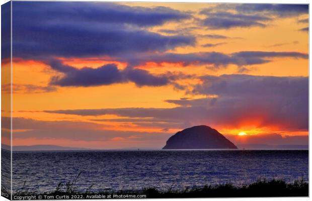 Sunset at Ailsa Craig Canvas Print by Tom Curtis