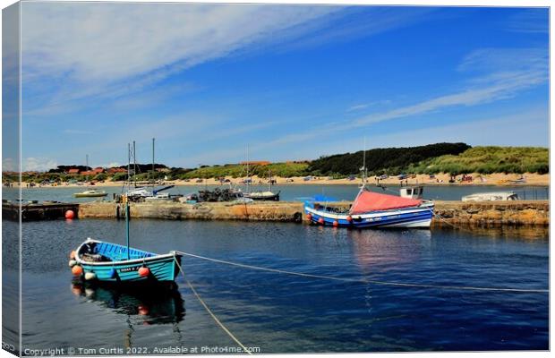 Harbour Beadnell Bay Canvas Print by Tom Curtis