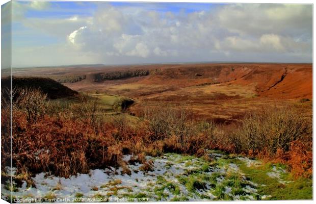 Hole of Horcum North Yorkshire Canvas Print by Tom Curtis