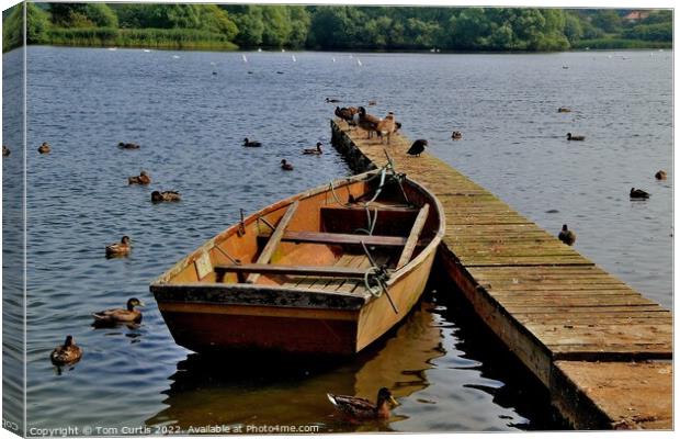 Rowing Boat  Hornsea Mere Canvas Print by Tom Curtis