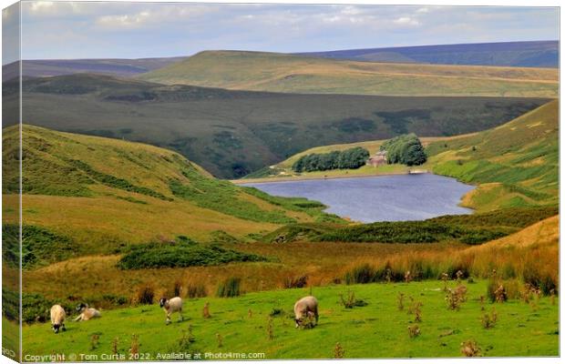 Wessenden Reservoir West Yorkshire Canvas Print by Tom Curtis