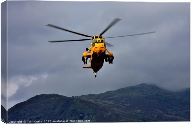 Sea King Helicopter Canvas Print by Tom Curtis