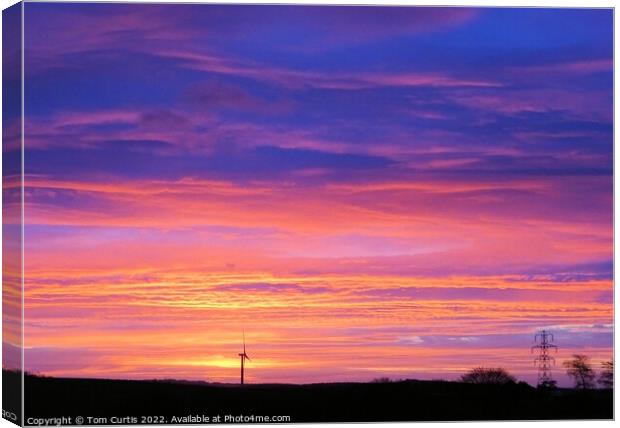 Colourful Sunrise at Cudworth Canvas Print by Tom Curtis