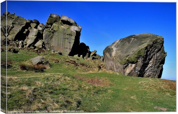 Cow and Calf Rocks Ilkley Canvas Print by Tom Curtis