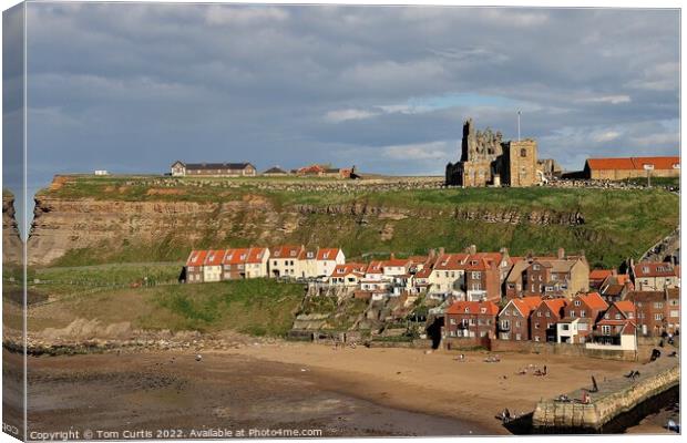Whitby Coastline North Yorkshire Canvas Print by Tom Curtis
