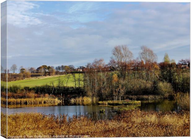 Carlton Marsh Nature Reserve Canvas Print by Tom Curtis