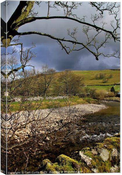The Dales at Kettlewell Canvas Print by Tom Curtis