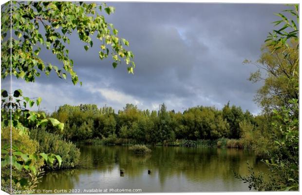 Ferrymoor Flash Nature Reserve Canvas Print by Tom Curtis