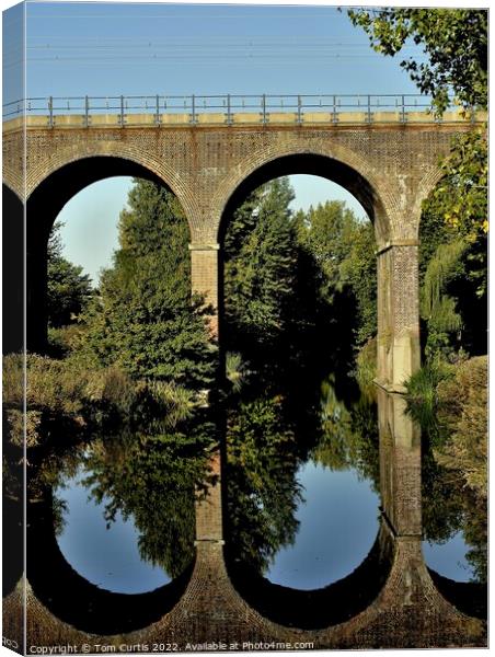 Railway Viaduct Chelmsford Canvas Print by Tom Curtis