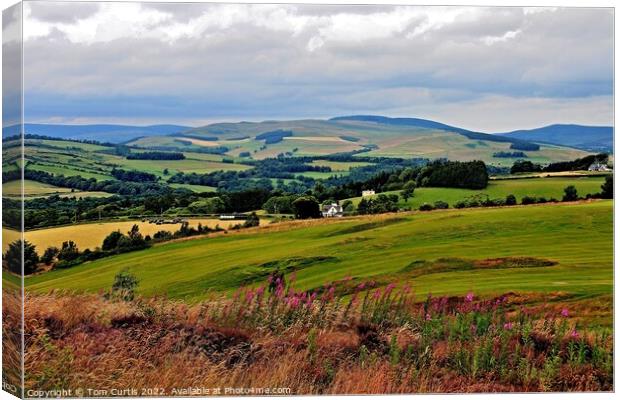 Lanscape near Selkirk Canvas Print by Tom Curtis
