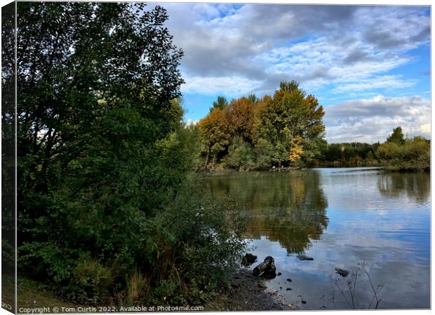 Trees and Reflections Canvas Print by Tom Curtis