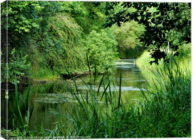 Barnsley Canal Canvas Print by Tom Curtis