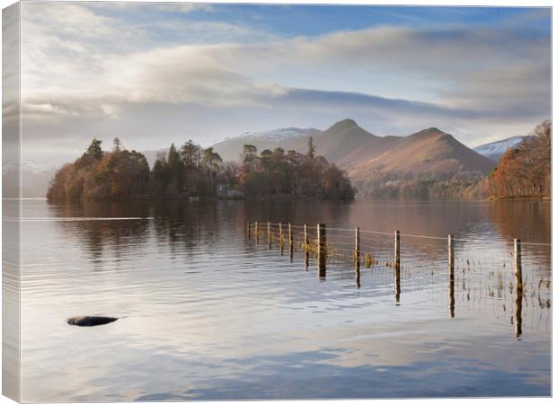 Derwentwater at sunrise  Canvas Print by Colin Jarvis