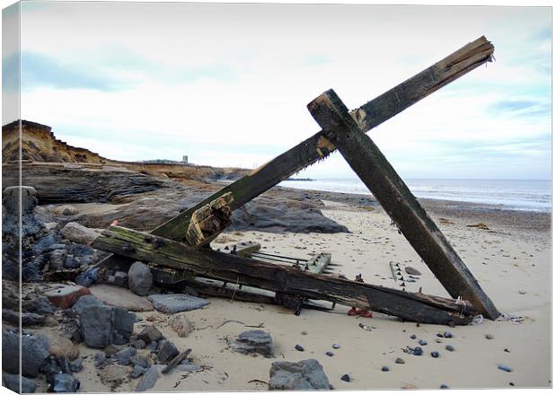 In the shape of a cross - driftwood on the Beach N Canvas Print by john hartley