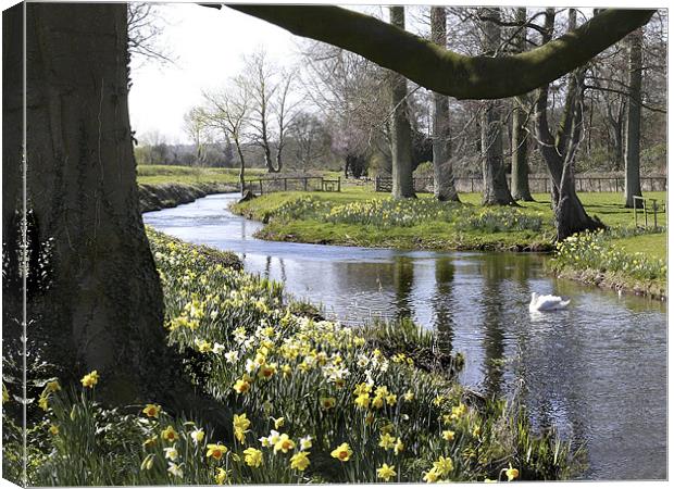 "Springtime" River Wensum Norfolk Canvas Print by john hartley