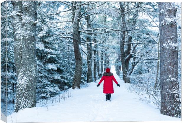 Snow day  Canvas Print by Roxane Bay