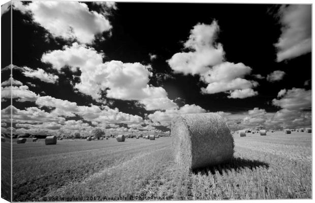 Straw Bale - Barleylands Canvas Print by Phil Wingfield