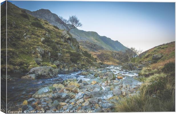 Afon Want Peris Canvas Print by James Hare