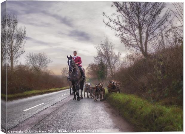 Bringing the hounds home Canvas Print by James Hare
