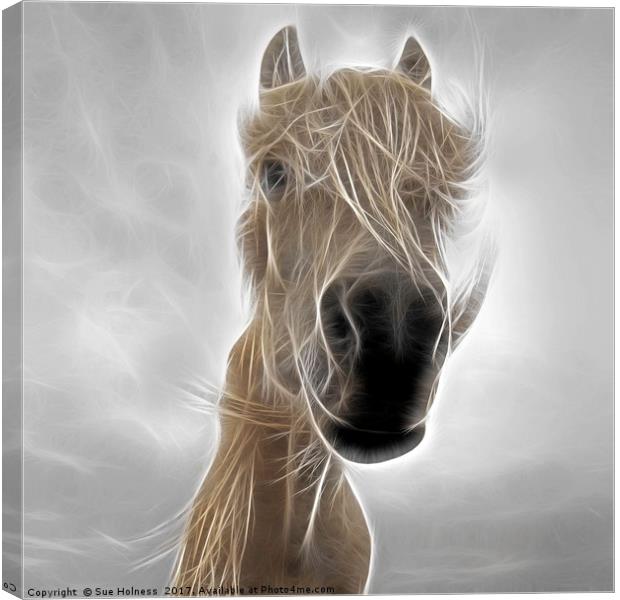 Mystic Horse Canvas Print by Sue Holness