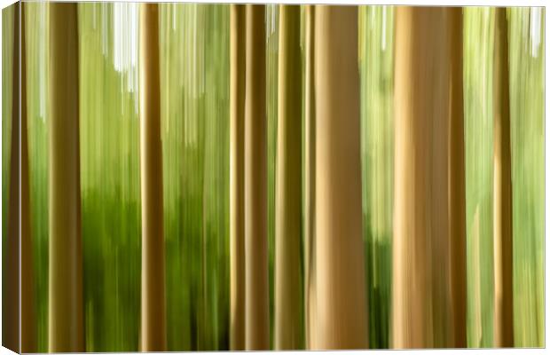 Intentional camera movement tree trunks Canvas Print by Marg Farmer