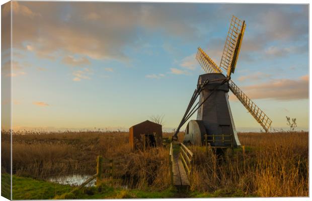 Herringfleet  Windmill & Out House Canvas Print by Mark Hawkes