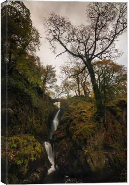 Aira Force Falls Lake District Canvas Print by Mark Hawkes