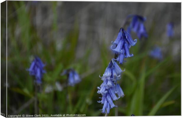 Bluebells ancing in the breeze Canvas Print by Steve Clark