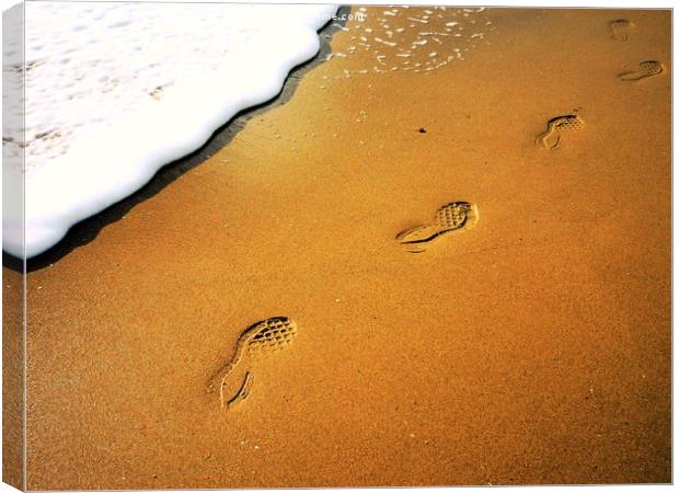 Footsteps in the sand. New year resolution. Where  Canvas Print by Steve Clark