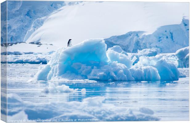 Adélie penguin on an iceberg Canvas Print by Sebastien Greber