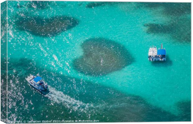 Heart Shaped Coral Reef Canvas Print by Sebastien Greber