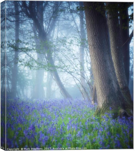 Bluebells In The Mist Canvas Print by Mark Stephens