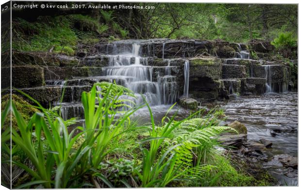 Howstein Beck Canvas Print by kevin cook