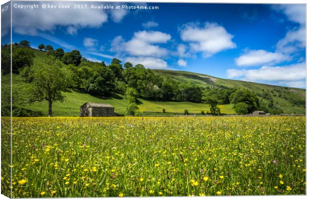Meadows of Muker Canvas Print by kevin cook