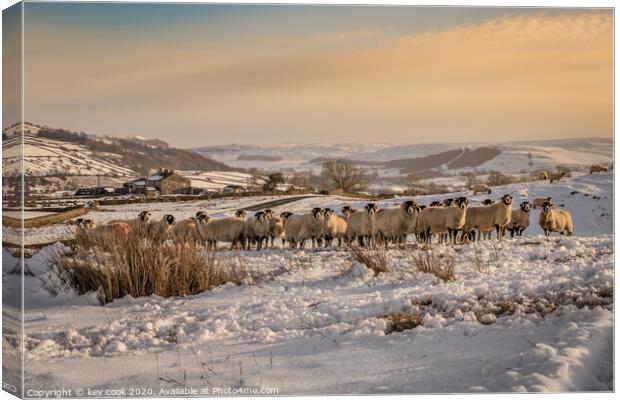 Arkengarthdale in the Snow Canvas Print by kevin cook