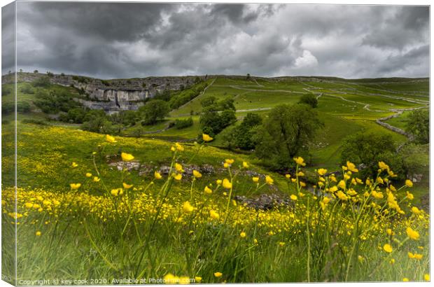 Malham cove Canvas Print by kevin cook