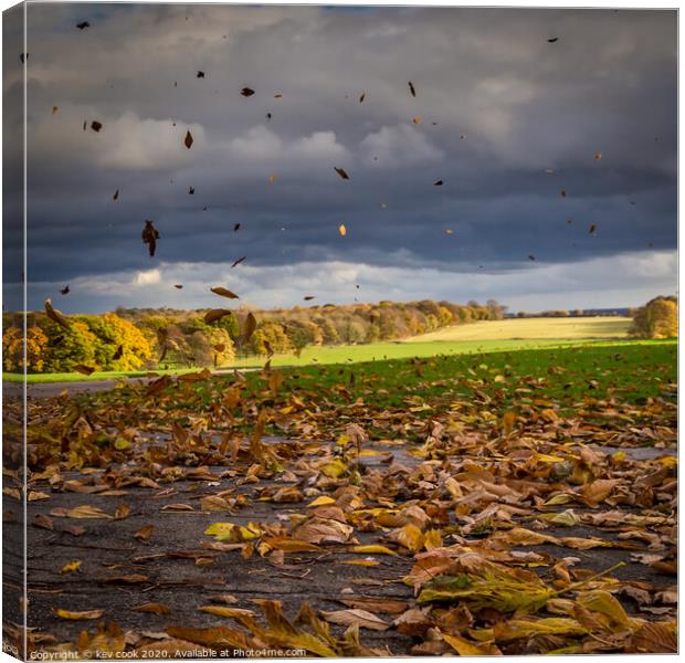 Autumn winds Canvas Print by kevin cook