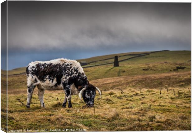 the beast of Malham Canvas Print by kevin cook