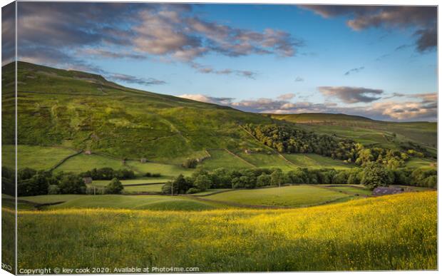 Swaledale buttercups Canvas Print by kevin cook