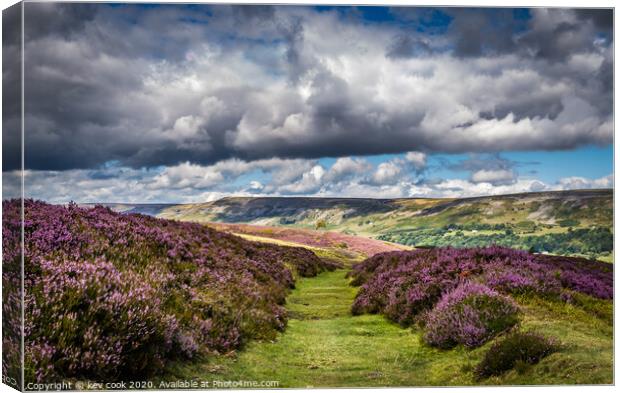 Heather path Canvas Print by kevin cook