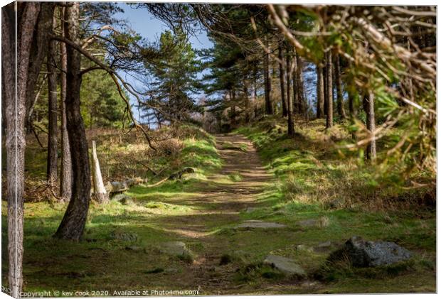 Evergreen path Canvas Print by kevin cook